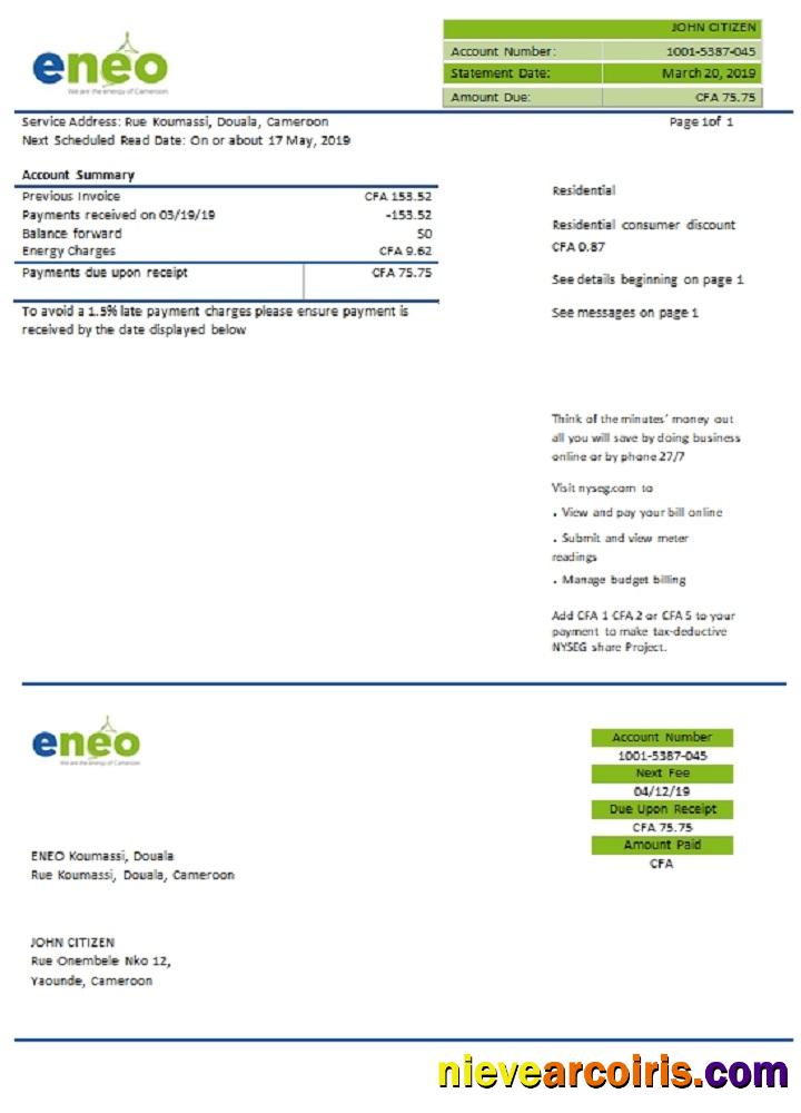 Cameroon ENEO electricity utility bill